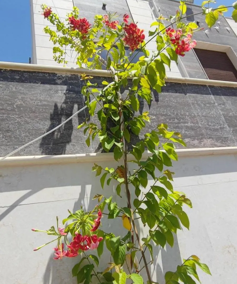 Homestay Villa 6 Ajman United Arab Emirates